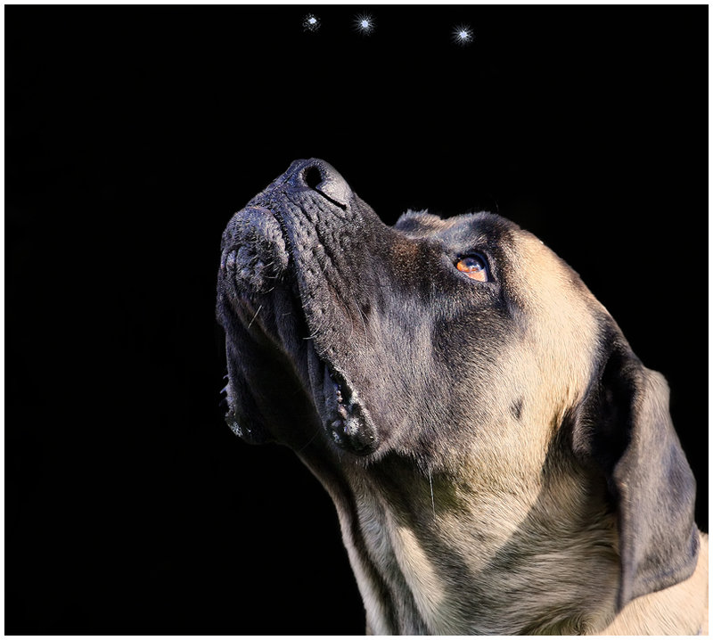  A  Star