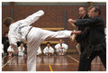 TKD2.jpg