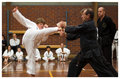 TKD1.jpg