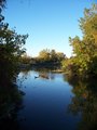 Autumn Peace