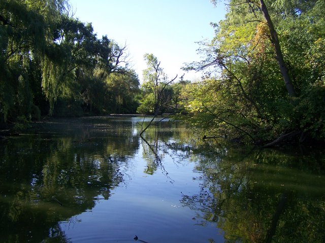 Cancer Walk@Detroit Zoo 042.jpg