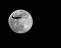 Lunar fly-by