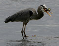 Down the hatch