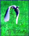 Escape the Emerald Sea