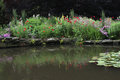 Pond
