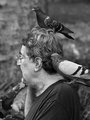 Pigeon Man