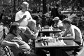 The Chessmen