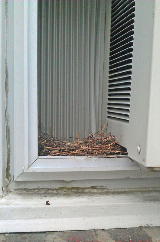 Empty nest