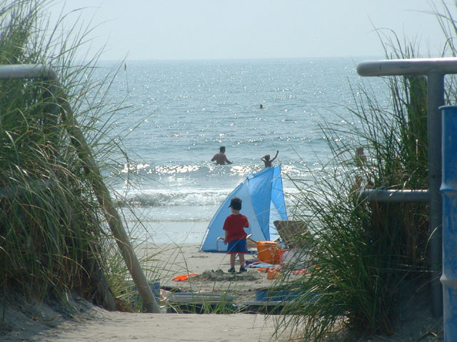 To the Beach