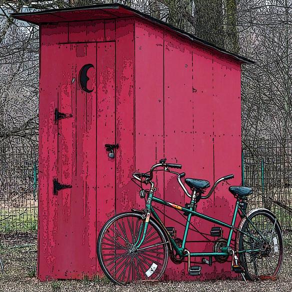 Outhouse built for 2?