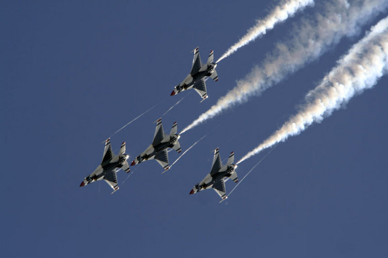 T-Birds  12