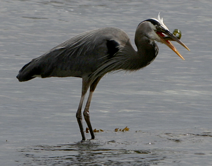 Down the hatch