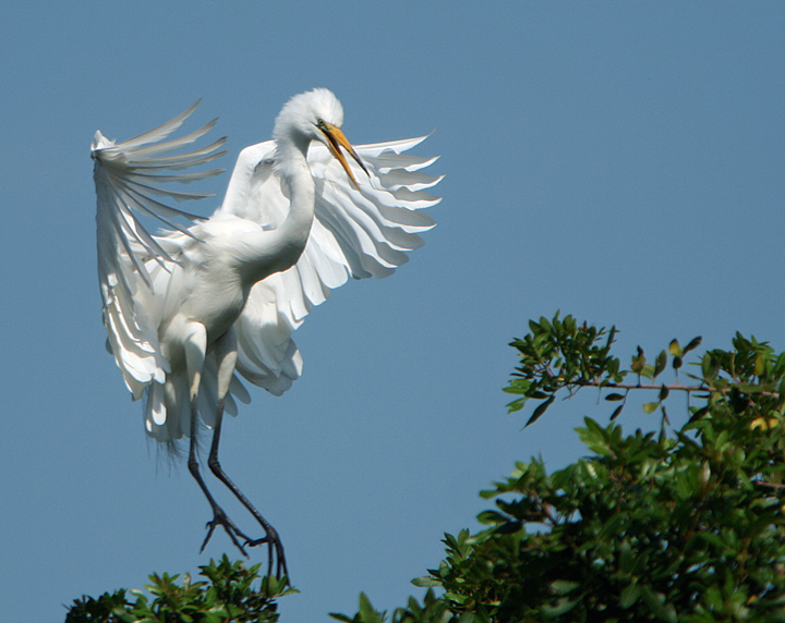 Landing