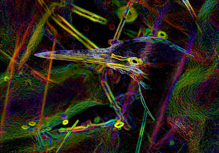Neon Heron