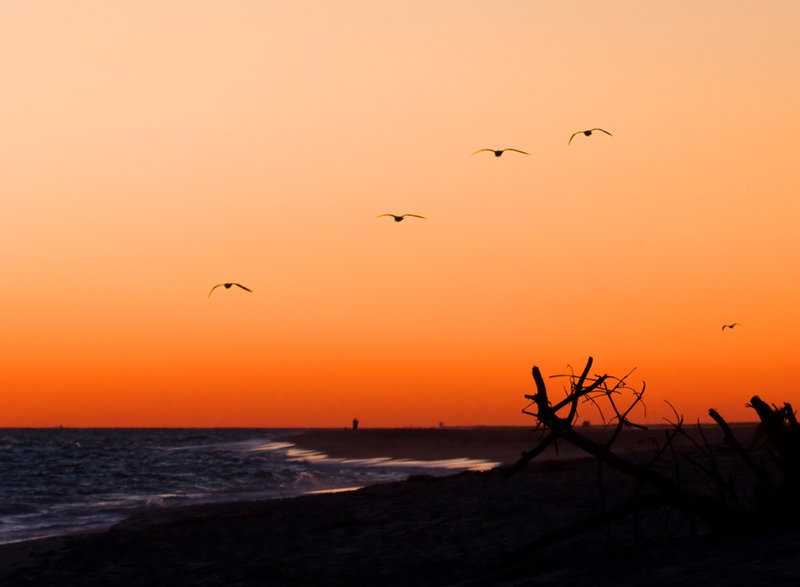 Madaket Sunset