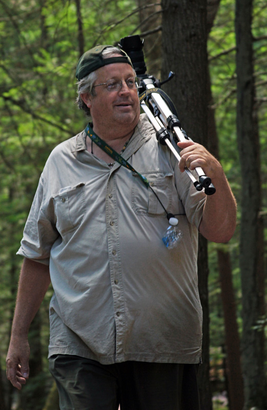 Jeb