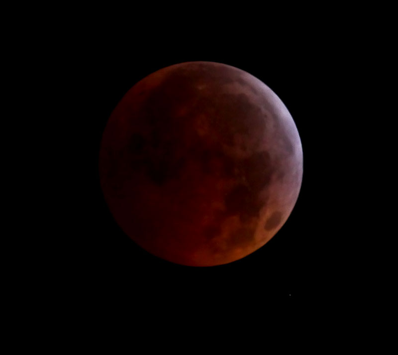 Eclipsed Moon