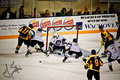 Columbus CottonMouths