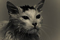 DSC_1592-Edit-2.jpg