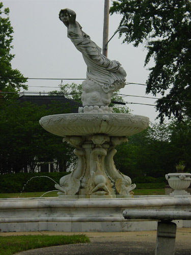 DSC01902-original.jpg