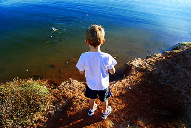 Feeding-Fish.jpg