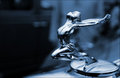 Hood ornament