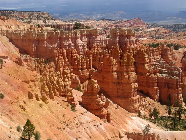 P1010209(2).jpg