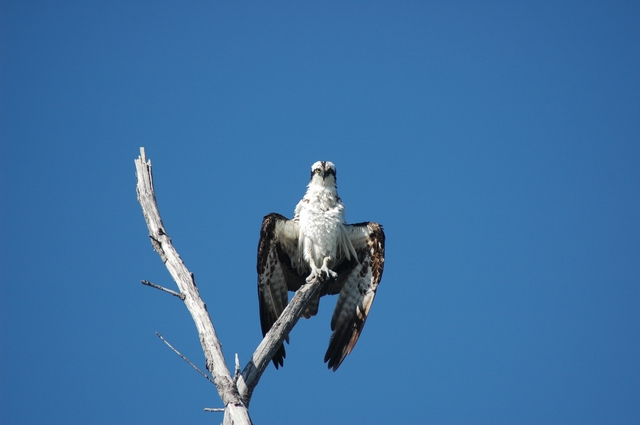 DSC_0330(2).JPG