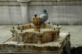 Bird in the Fountain