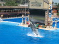 sea world.jpg