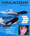 MAGAZINE2.jpg