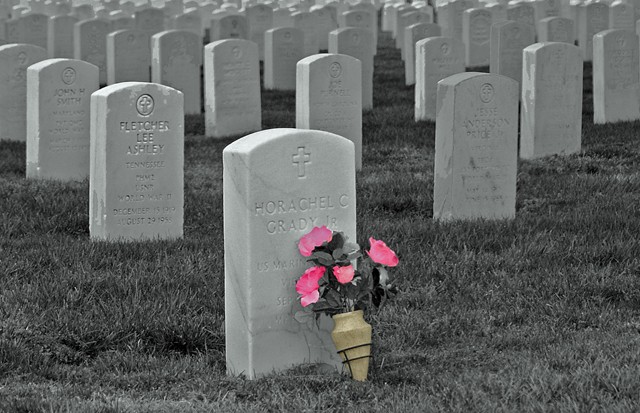 remember the fallen.jpg