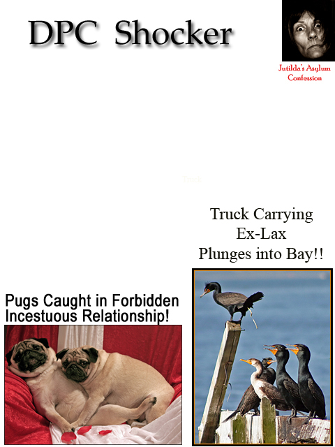 magazine.jpg