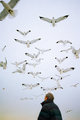 _BirdWatcher0472_14A.jpg