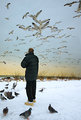 _BirdMan0481_09B.jpg