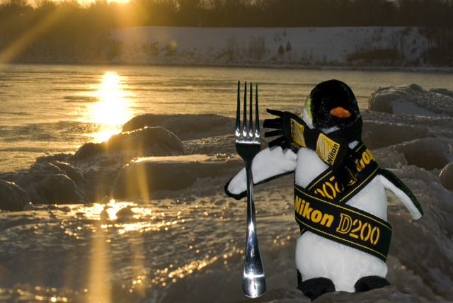 DAY 20, Version-B Nikon Penguin