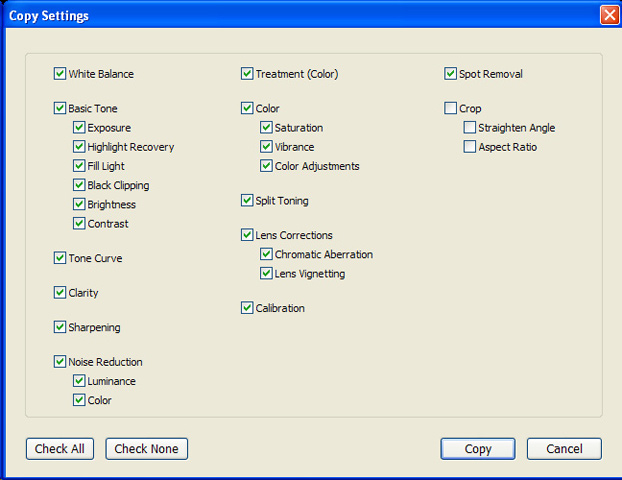 LR-Copy-Settings_001.jpg