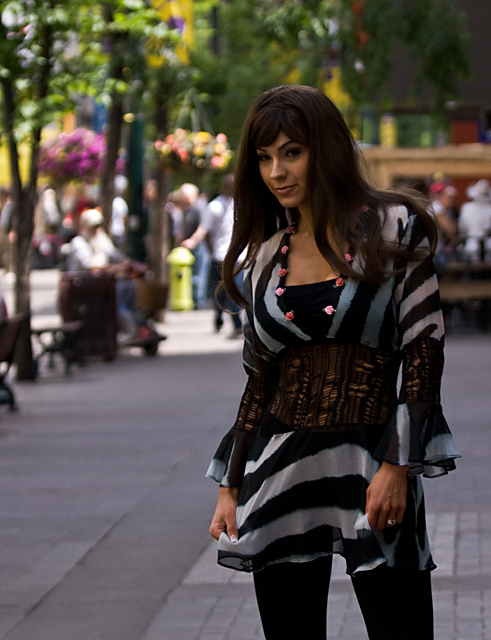 Zebra on the Parisian Sidewalk