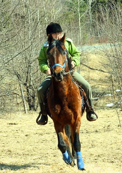 kid horse2.jpg