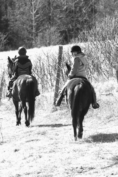 kids and horses.jpg