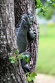 Hangin' on.