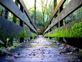 The Infamous Bridge Shot