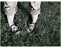 Day 29: Time 2 Mow