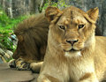 Keeping Watch: Advanced Editing