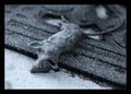 Week 29: Cold