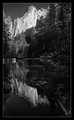 Week 45: Yosemite Day Trip