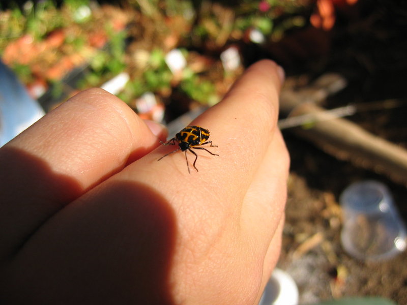 My first real photo, unedited.