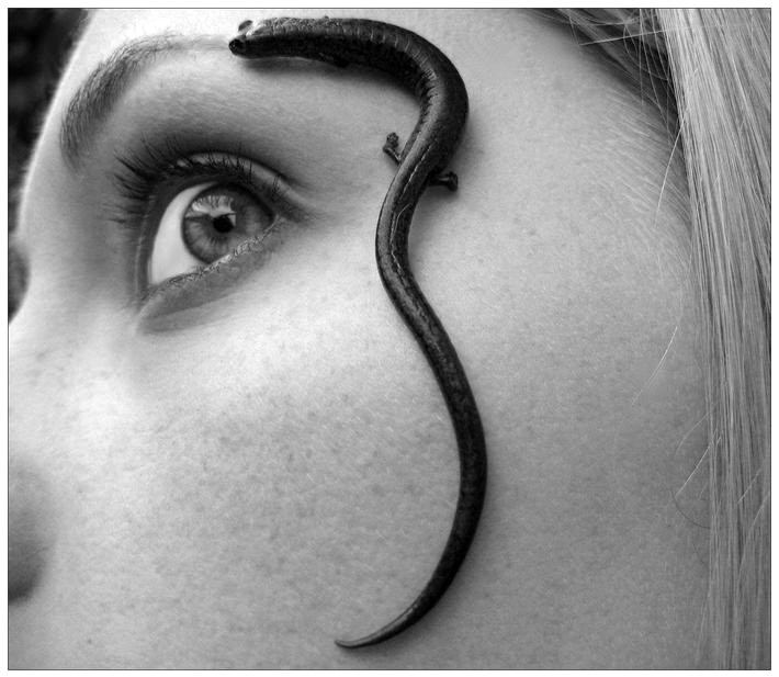 Uh, I Think There's Something on Your Face