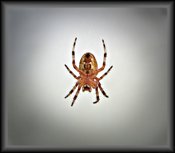 3mm