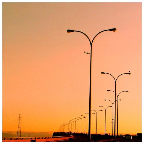 Day 8: It's a Bird! It's a Plane! It's...a bunch of poles...